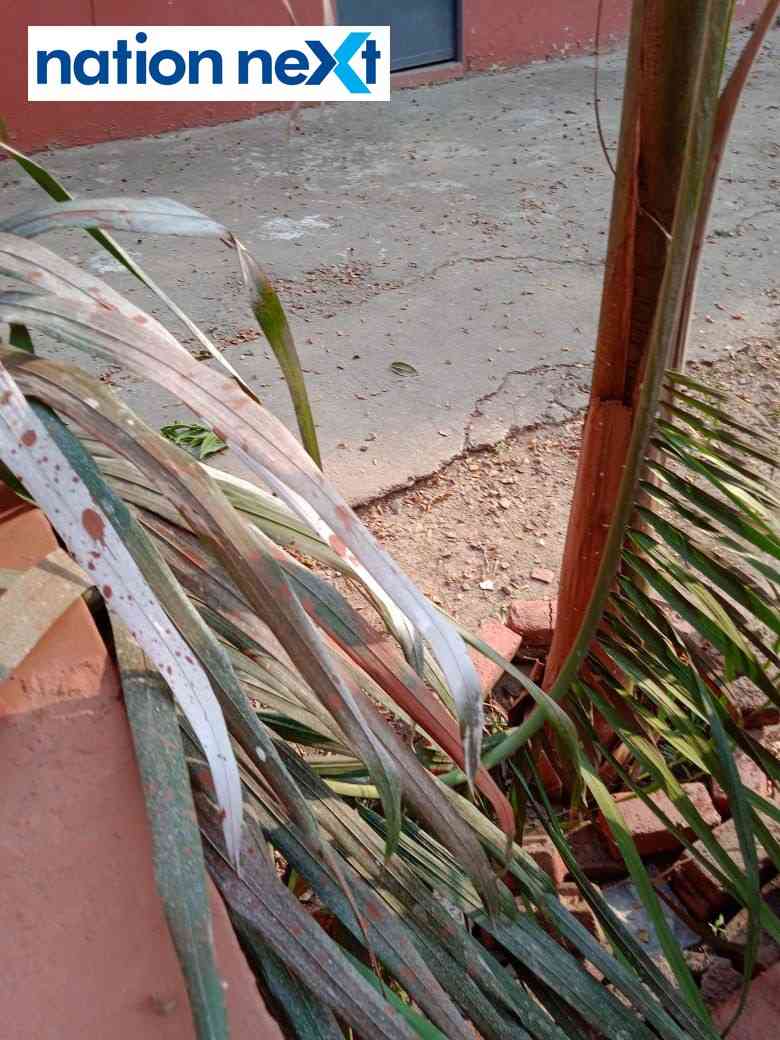 Images of vandalised property at Bishop Cotton School in Nagpur